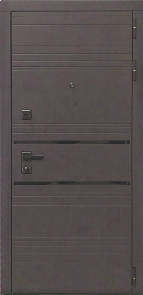 Входная дверь ДвериПРО L-43 Без фрезеровки Дуб пацифик горизонт DPRO198230 внешняя сторона